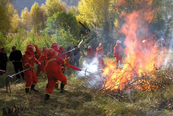 森林火灾.png 森林火灾.png