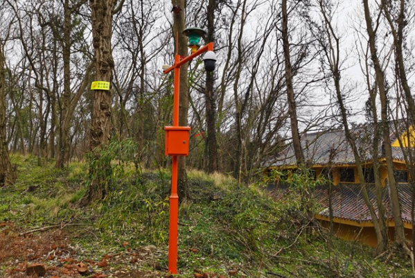 森林火灾防护.png 森林火灾防护.png